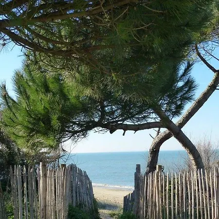Loix- Ile De Re- Maison Pour 5 * Loix